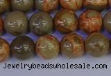 CPJ463 15.5 inches 10mm round African picture jasper beads