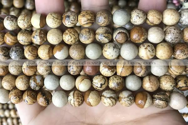 CPJ660 15.5 inches 8mm round picture jasper beads wholesale