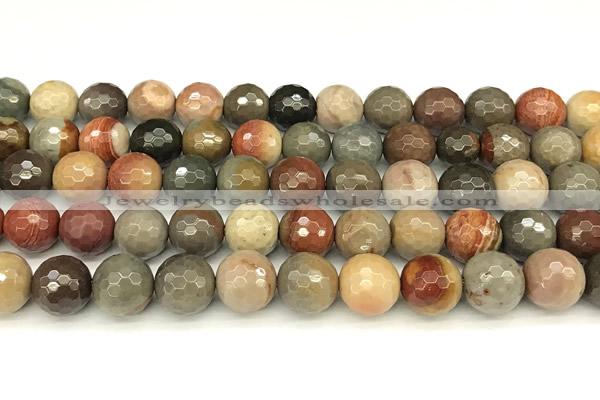 CPJ698 15 inches 12mm faceted round American picture jasper beads