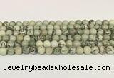 CPJ701 15.5 inches 6mm round greeting pine jasper beads