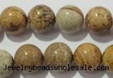 CPT456 15.5 inches 16mm round picture jasper beads wholesale