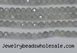 CRB1936 15.5 inches 2*3mm faceted rondelle labradorite beads