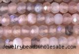 CRB2220 15.5 inches 2*3mm faceted rondelle moonstone beads