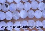 CRB2623 15.5 inches 2*3mm faceted rondelle white moonstone beads