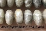 CRB5336 15.5 inches 5*8mm rondelle fossil coral beads wholesale