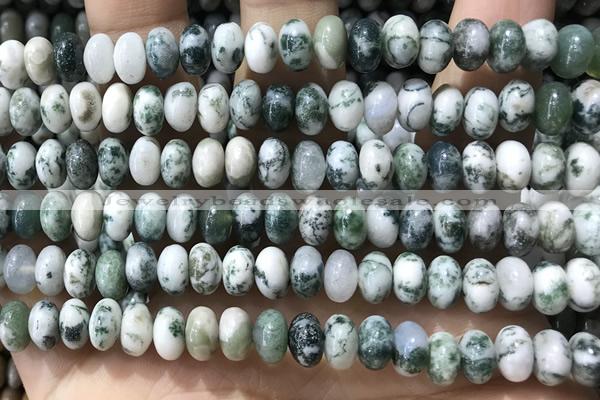 CRB5338 15.5 inches 5*8mm rondelle tree agate beads wholesale