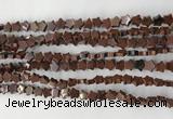 CRG32 15.5 inches 6mm flat star mahogany obsidian beads wholesale