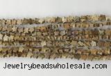 CRG33 15.5 inches 6mm flat star picture jasper beads wholesale