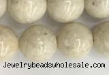 CRJ623 15.5 inches 10mm round white fossil jasper beads wholesale