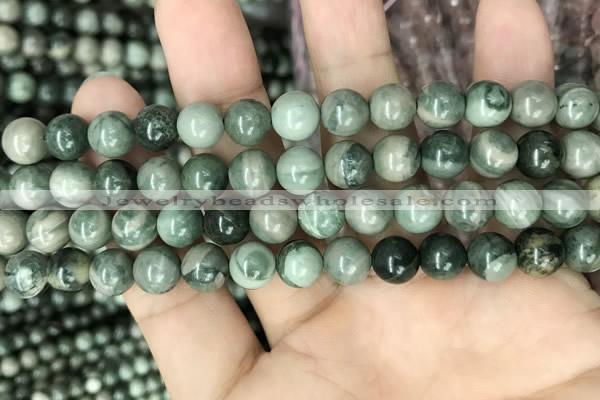 CRM202 15.5 inches 8mm round green mud jasper beads wholesale