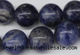 CRO422 15.5 inches 16mm round sodalite gemstone beads wholesale