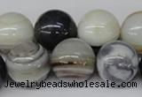 CRO481 15.5 inches 18mm round agate gemstone beads wholesale