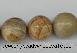 CRO485 15.5 inches 18mm round picture jasper beads wholesale