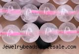 CRQ416 15.5 inches 6mm round rose quartz beads wholesale