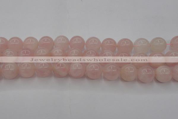 CRQ674 15.5 inches 14mm round rose quartz beads wholesale