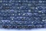 CRZ1171 15 inches 2mm faceted round sapphire beads