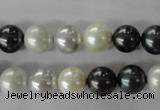 CSB1051 15.5 inches 10mm round mixed color shell pearl beads