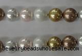 CSB1064 15.5 inches 10mm round mixed color shell pearl beads