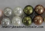 CSB1085 15.5 inches 12mm round mixed color shell pearl beads