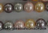 CSB1093 15.5 inches 12mm round mixed color shell pearl beads