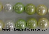 CSB1104 15.5 inches 12mm round mixed color shell pearl beads