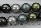 CSB1126 15.5 inches 14mm round mixed color shell pearl beads