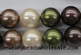 CSB1129 15.5 inches 14mm round mixed color shell pearl beads