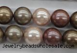 CSB1141 15.5 inches 14mm round mixed color shell pearl beads