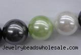 CSB1152 15.5 inches 16mm round mixed color shell pearl beads