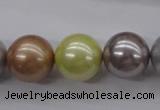 CSB1155 15.5 inches 16mm round mixed color shell pearl beads