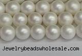 CSB1601 15.5 inches 6mm round matte shell pearl beads wholesale