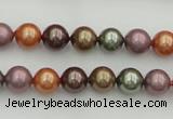 CSB312 15.5 inches 8mm round mixed color shell pearl beads