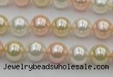 CSB320 15.5 inches 10mm round mixed color shell pearl beads