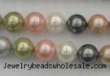 CSB331 15.5 inches 10mm round mixed color shell pearl beads