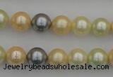 CSB333 15.5 inches 10mm round mixed color shell pearl beads