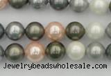 CSB338 15.5 inches 10mm round mixed color shell pearl beads