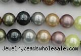 CSB339 15.5 inches 10mm round mixed color shell pearl beads