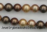 CSB342 15.5 inches 10mm round mixed color shell pearl beads