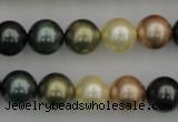 CSB361 15.5 inches 12mm round mixed color shell pearl beads