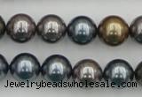 CSB366 15.5 inches 12mm round mixed color shell pearl beads