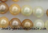 CSB371 15.5 inches 14mm round mixed color shell pearl beads