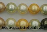 CSB374 15.5 inches 14mm round mixed color shell pearl beads