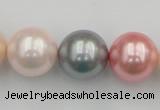 CSB391 15.5 inches 16mm round mixed color shell pearl beads