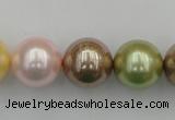 CSB393 15.5 inches 16mm round mixed color shell pearl beads