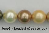 CSB394 15.5 inches 16mm round mixed color shell pearl beads