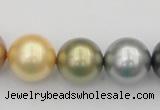 CSB395 15.5 inches 16mm round mixed color shell pearl beads