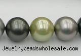 CSB398 15.5 inches 16mm round mixed color shell pearl beads