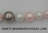 CSB406 15.5 inches 8mm - 16mm round mixed color shell pearl beads