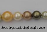 CSB407 15.5 inches 8mm - 16mm round mixed color shell pearl beads