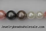 CSB408 15.5 inches 8mm - 16mm round mixed color shell pearl beads